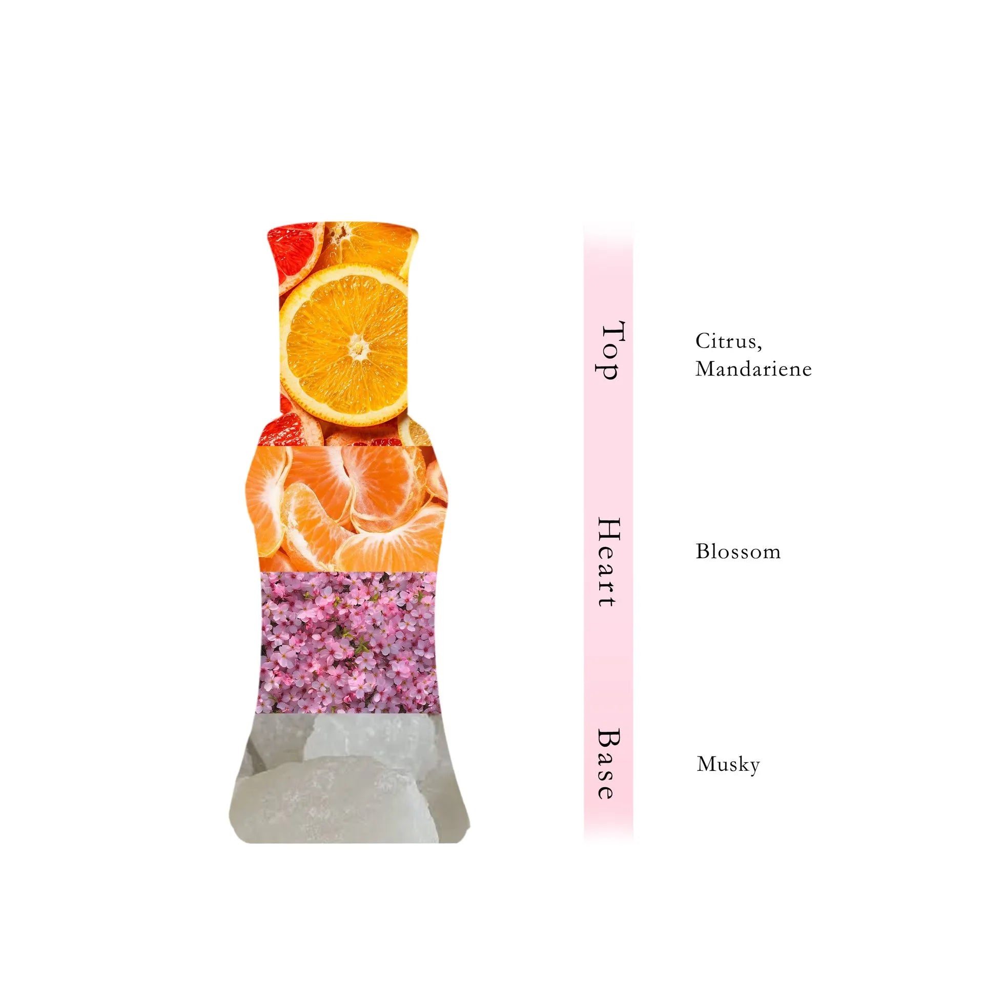 FOREVER BLUSH Oil Fragrance Roll On  24 ML - Deluxe Collection By Hamidi
