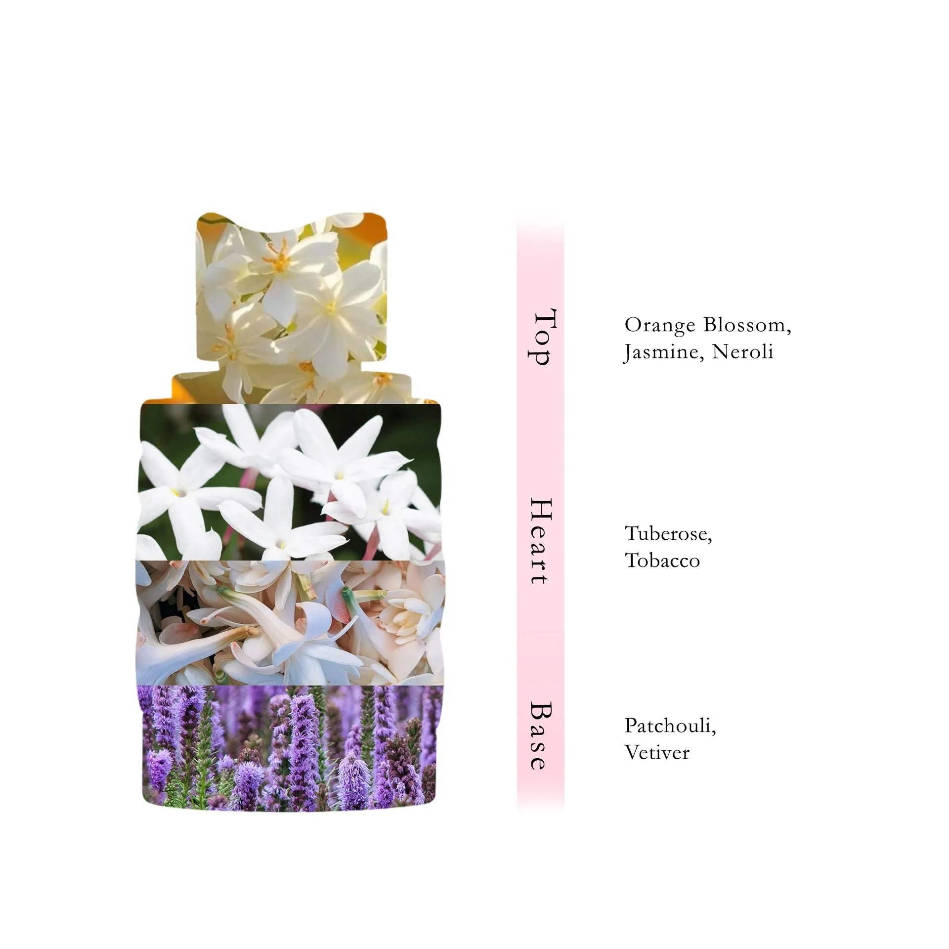 SUGAR Perfume  100 ML - Melted Collection By AL ABSAR
