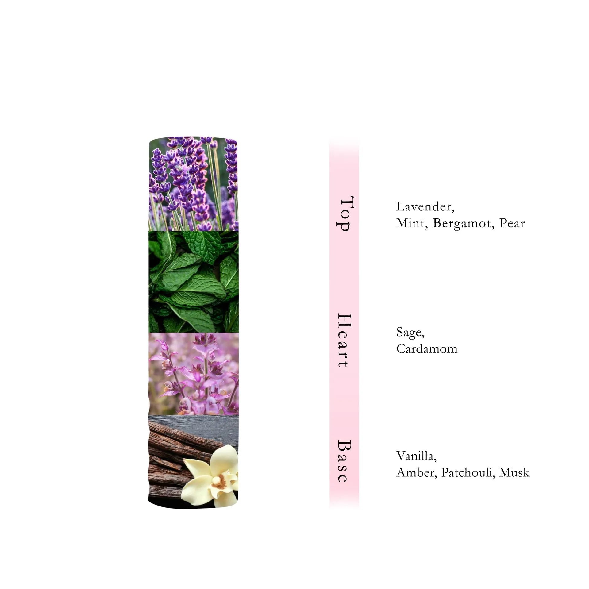 Nimr Body Mist  250 ML -  By AL ABSAR