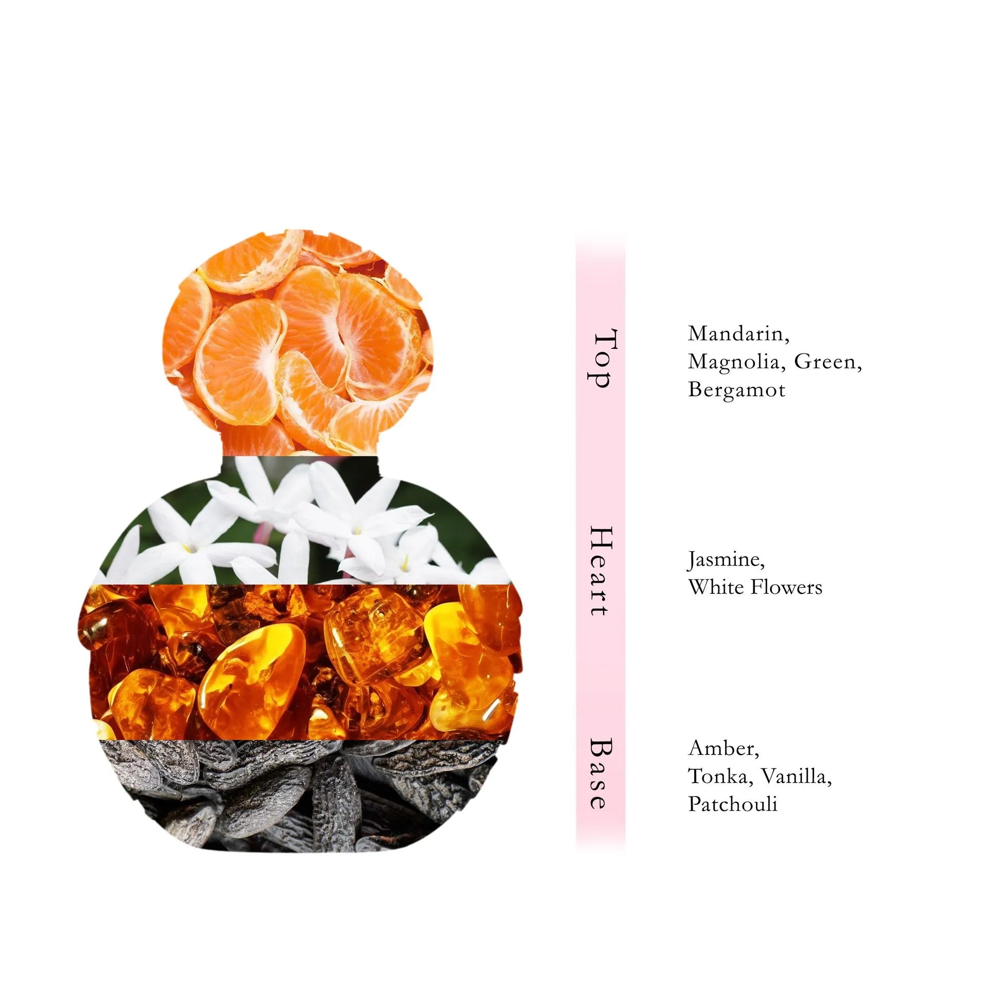Passionnova Perfume  100 ML - Soft Collection By AL ABSAR