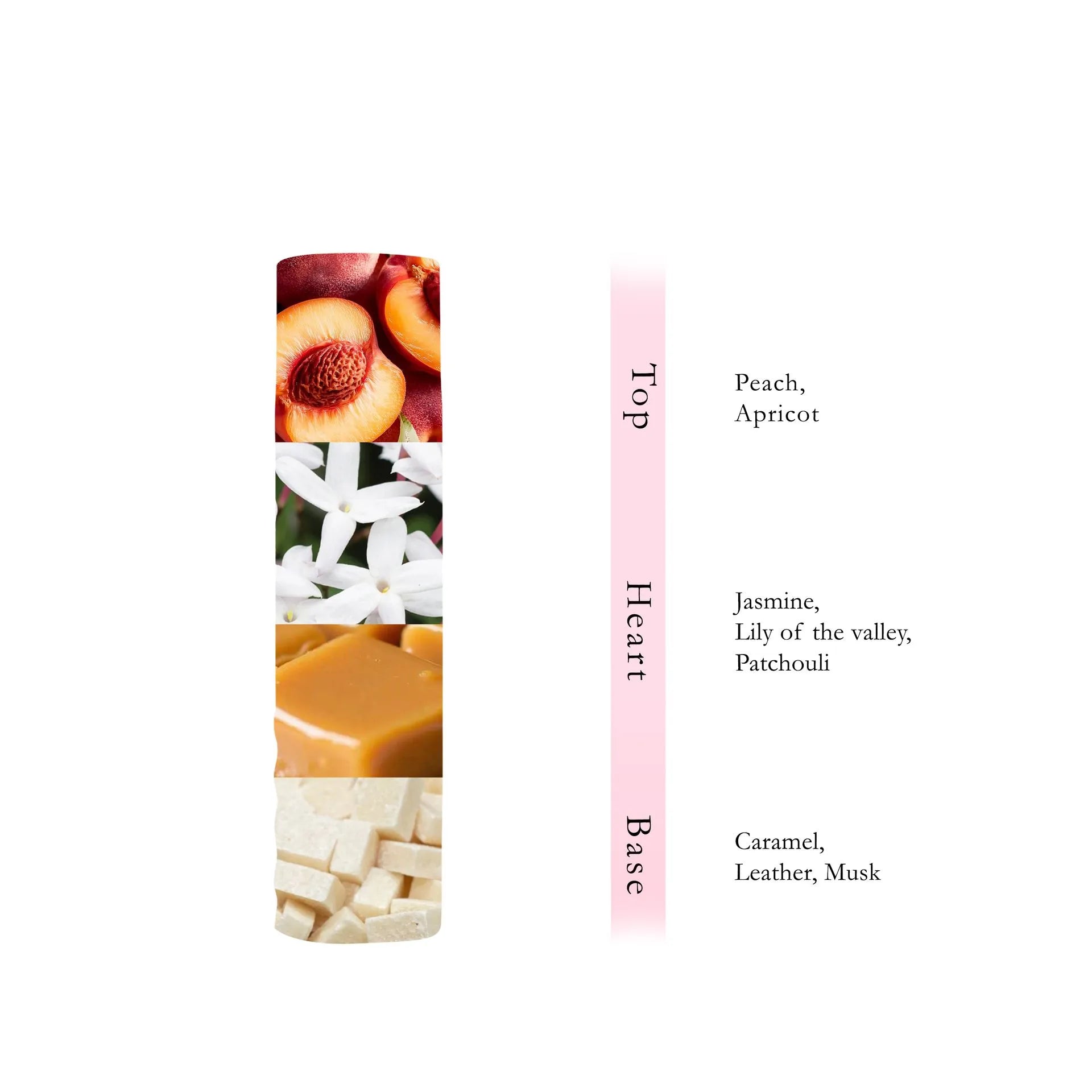 The Rose Body Mist  250 ML -  By AL ABSAR